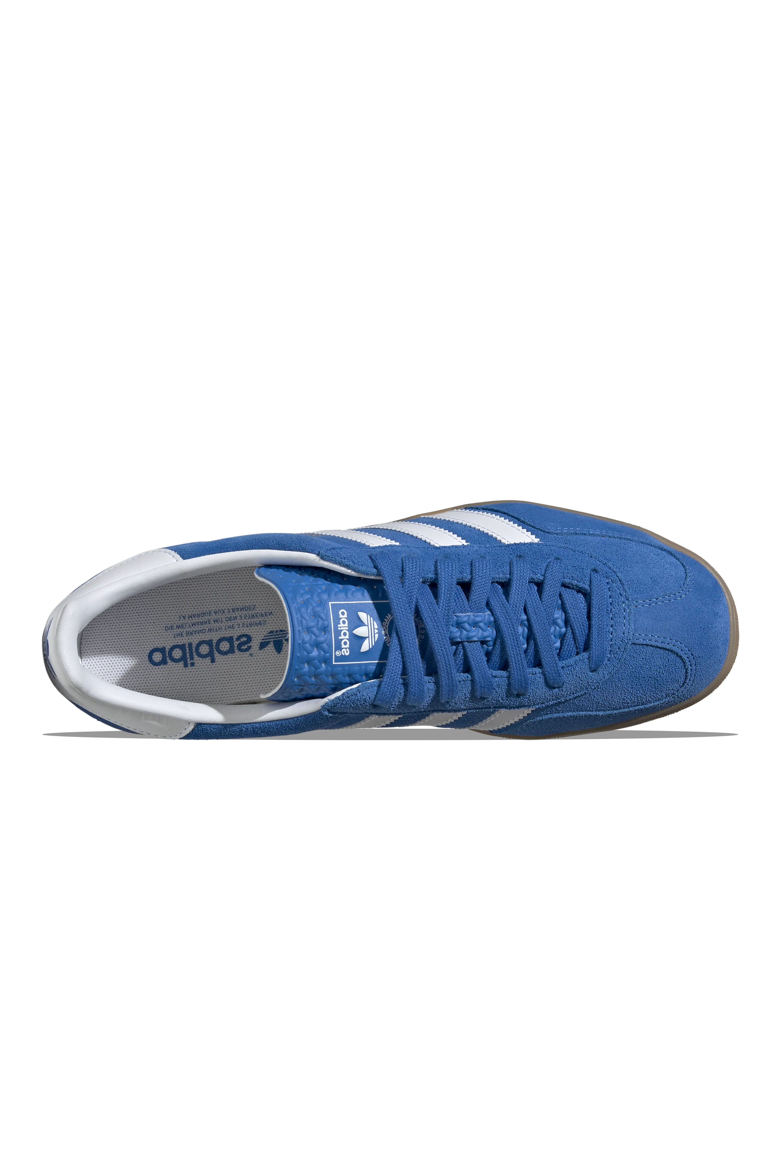 Gazelle Indoor - Image 3